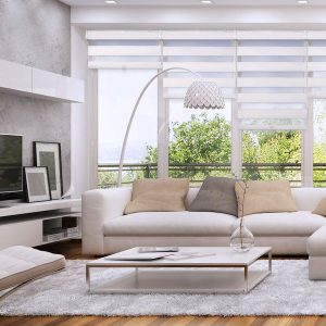 Zebra Eggshell Privacy Cordless Shade